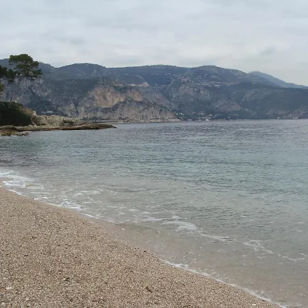 Azzurra *